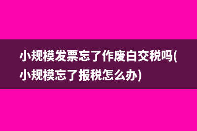 2023小規(guī)模免稅最新會計分錄(2023小規(guī)模免稅收入會計分錄怎么寫啊)