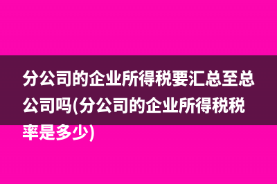 有工資的獨(dú)資企業(yè)法人的個(gè)稅怎么申報(bào)(獨(dú)資企業(yè)賺的錢全是老板的嗎)