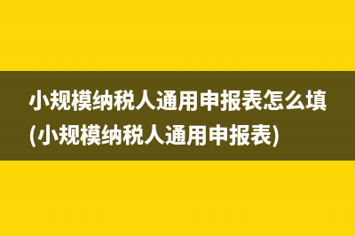 小規(guī)模納稅人通用申報(bào)表怎么填(小規(guī)模納稅人通用申報(bào)表)