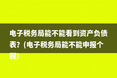 電子稅務局能不能看到資產(chǎn)負債表？(電子稅務局能不能申報個稅)