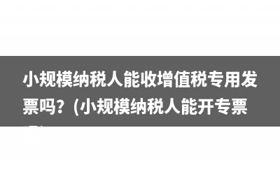 不予認定一般納稅人資格？(不予認定一般納稅人)