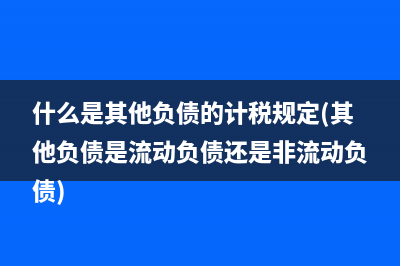 什么是其他負債的計稅規(guī)定(其他負債是流動負債還是非流動負債)