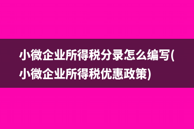 小微企業(yè)所得稅分錄怎么編寫(xiě)(小微企業(yè)所得稅優(yōu)惠政策)