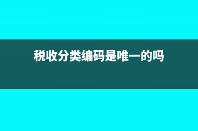 稅收分類(lèi)編碼是什么?(稅收分類(lèi)編碼是唯一的嗎)