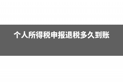 個人所得稅申報怎么操作(個人所得稅申報退稅多久到賬)