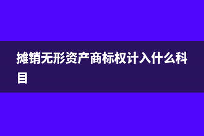 攤銷無形資產(chǎn)-土地使用權(quán)所得稅匯算清繳時(shí)需要如何調(diào)增(攤銷無形資產(chǎn)商標(biāo)權(quán)計(jì)入什么科目)