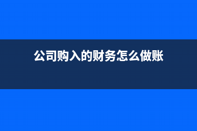 公司購入的財(cái)務(wù)軟件應(yīng)該怎么記賬(公司購入的財(cái)務(wù)怎么做賬)