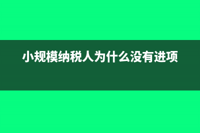 小規(guī)模納稅人為何要使用增值稅稅控系統(tǒng)?(小規(guī)模納稅人為什么沒有進(jìn)項)