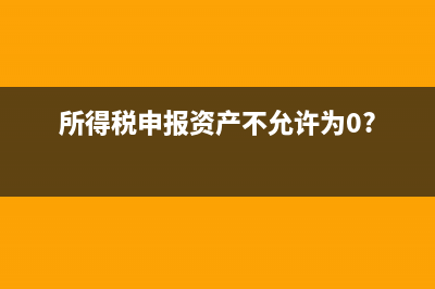 所得稅申報的資產(chǎn)可以填寫負數(shù)嗎(所得稅申報資產(chǎn)不允許為0?)