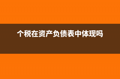 個(gè)稅在資產(chǎn)負(fù)債表里能看到嗎?(個(gè)稅在資產(chǎn)負(fù)債表中體現(xiàn)嗎)