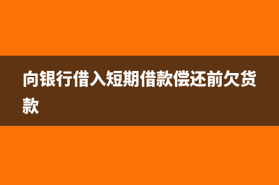 向銀行借入短期借款會計分錄(向銀行借入短期借款償還前欠貨款)