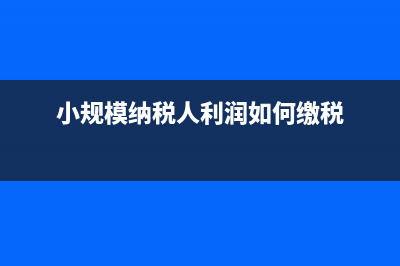 小規(guī)模納稅人利潤表營業(yè)收入含稅嗎?(小規(guī)模納稅人利潤如何繳稅)