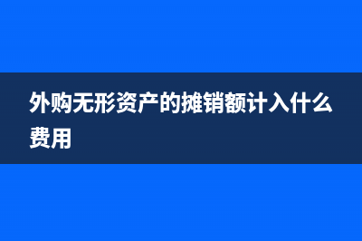 外購無形資產(chǎn)的進項稅計入成本嗎?(外購無形資產(chǎn)的攤銷額計入什么費用)