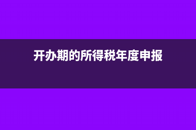 開辦期所得稅季報報表如何填寫?(開辦期的所得稅年度申報)