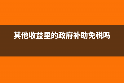 其他收益里的政府補(bǔ)助需要納稅嗎?(其他收益里的政府補(bǔ)助免稅嗎)