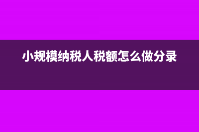 小規(guī)模納稅人稅率及免稅政策(小規(guī)模納稅人稅額怎么做分錄)