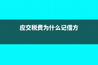 應(yīng)交稅費為什么在借方？(應(yīng)交稅費為什么記借方)