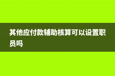 其他應(yīng)付款輔助核算怎么設(shè)置(其他應(yīng)付款輔助核算可以設(shè)置職員嗎)