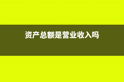 資產(chǎn)總額是營業(yè)流水嗎(資產(chǎn)總額是營業(yè)收入嗎)