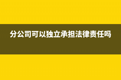 分公司可以獨(dú)立發(fā)工資嗎(分公司可以獨(dú)立承擔(dān)法律責(zé)任嗎)