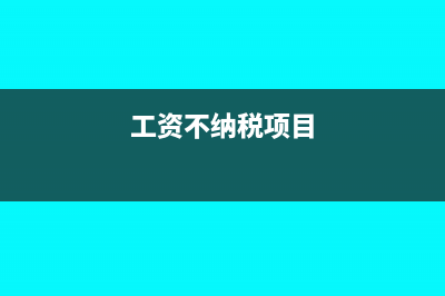 不計稅工資負數(shù)什么意思(工資不納稅項目)