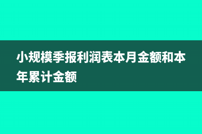 小規(guī)模季報(bào)利潤(rùn)表怎么填(小規(guī)模季報(bào)利潤(rùn)表本月金額和本年累計(jì)金額)