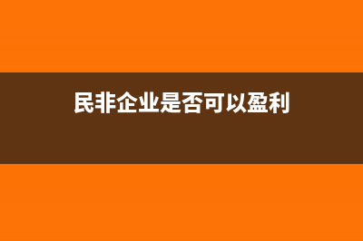 民非企業(yè)是否可以長期待攤(民非企業(yè)是否可以盈利)