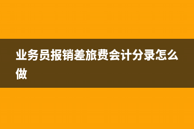 業(yè)務(wù)員報(bào)銷差旅費(fèi)會(huì)計(jì)分錄(業(yè)務(wù)員報(bào)銷差旅費(fèi)會(huì)計(jì)分錄怎么做)