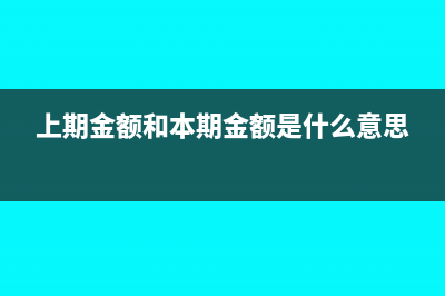 上期金額是本年累計(jì)嗎(上期金額和本期金額是什么意思)