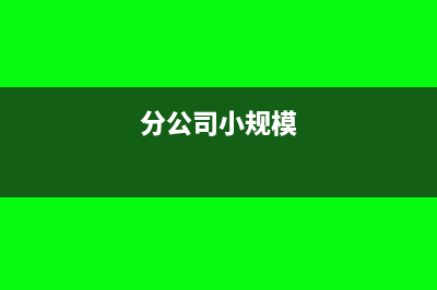 分公司享受小規(guī)模免稅嗎(分公司小規(guī)模)