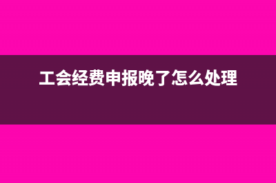 工會經(jīng)費申報逾期怎么補申報(工會經(jīng)費申報晚了怎么處理)