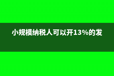 小規(guī)模納稅人可以不申報現(xiàn)金流量表嗎(小規(guī)模納稅人可以開13%的發(fā)票嗎)