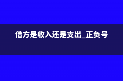 借方是收入還是支出(借方是收入還是支出 正負號)