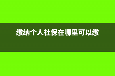 繳納個(gè)人社保在現(xiàn)金流量表里屬于哪一類(繳納個(gè)人社保在哪里可以繳)