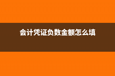 會計憑證負數(shù)金額怎么大寫(會計憑證負數(shù)金額怎么填)