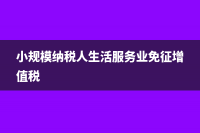 小規(guī)模納稅人生產(chǎn)經(jīng)營(yíng)所得申報(bào)表b表怎么填(小規(guī)模納稅人生活服務(wù)業(yè)免征增值稅)