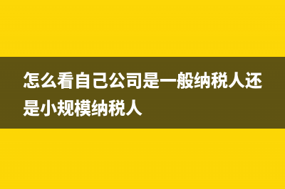 怎么看自己公司能開具什么發(fā)票(怎么看自己公司是一般納稅人還是小規(guī)模納稅人)