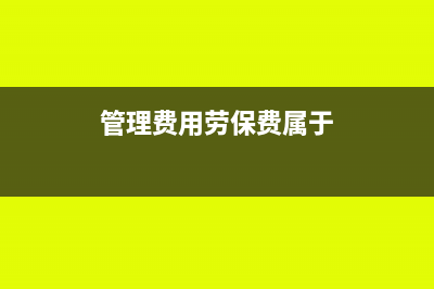 國稅電子鑰匙怎么網(wǎng)上續(xù)費(國稅地稅電子鑰匙價格)