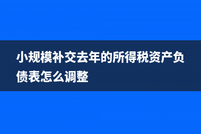 小規(guī)模補(bǔ)交去年的增值稅怎么申報(bào)(小規(guī)模補(bǔ)交去年的所得稅資產(chǎn)負(fù)債表怎么調(diào)整)