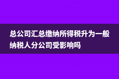 開具16個點發(fā)票情況說明