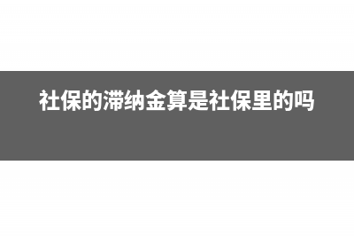 社保的滯納金算管理費(fèi)用嗎?(社保的滯納金算是社保里的嗎)