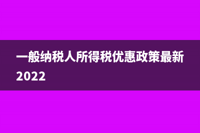 一般納稅人所得稅在國稅申報(bào)嗎(一般納稅人所得稅優(yōu)惠政策最新2022)