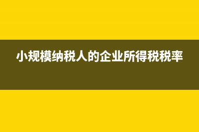 小規(guī)模納稅人的稅點為0.03嗎?(小規(guī)模納稅人的企業(yè)所得稅稅率)