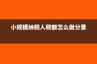 一般納稅人企業(yè)所得稅季度報(bào)表怎么填(一般納稅人企業(yè)是什么意思)