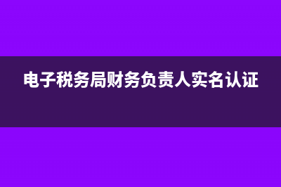 電子稅務局財務報表怎么更正申報(電子稅務局財務負責人實名認證)