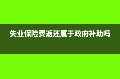 使用電子記賬軟件內(nèi)外賬能在一個軟件上嗎(電子記賬軟件出納帳)