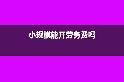 小規(guī)模納稅人印花稅減半征收賬務(wù)處理(小規(guī)模納稅人印花稅怎樣計算)