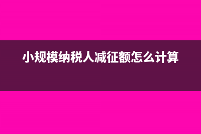 小規(guī)模納稅人開增值稅專用發(fā)票怎么做賬(小規(guī)模納稅人開具增值稅專用發(fā)票)