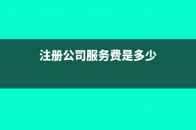 注冊(cè)公司服務(wù)費(fèi)記入什么科目(注冊(cè)公司服務(wù)費(fèi)是多少)