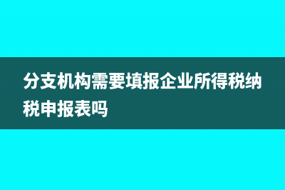 分支機構需要填報企業(yè)所得稅納稅申報表嗎